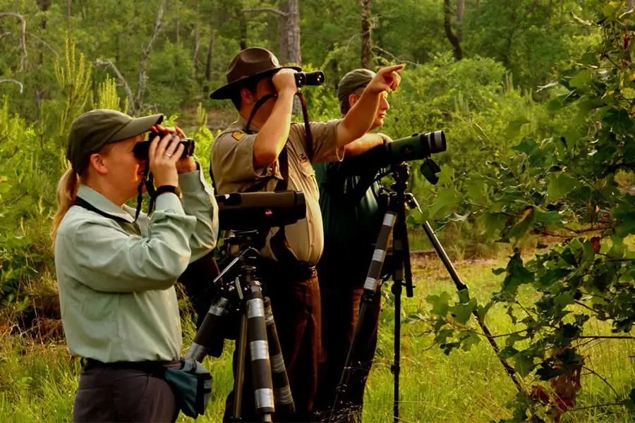 Bhutan-birding-tour-packages-in-9-days