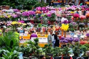 Chợ hoa Đấu Nam - Thủ phủ hoa tươi của châu Á ở Côn Minh