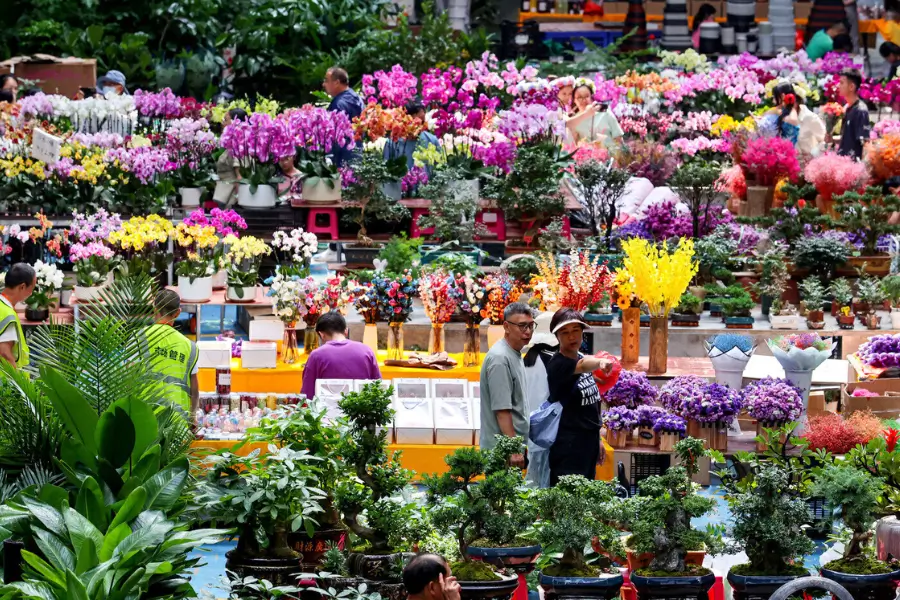 Chợ hoa Đấu Nam - Thủ phủ hoa tươi của châu Á ở Côn Minh Chợ hoa Đấu Nam - Thủ phủ hoa tươi của châu Á ở Côn Minh