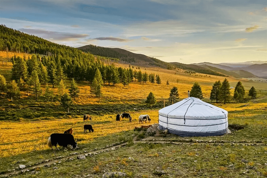 Chỗ ở và sinh hoạt khi du lịch Mông Cổ