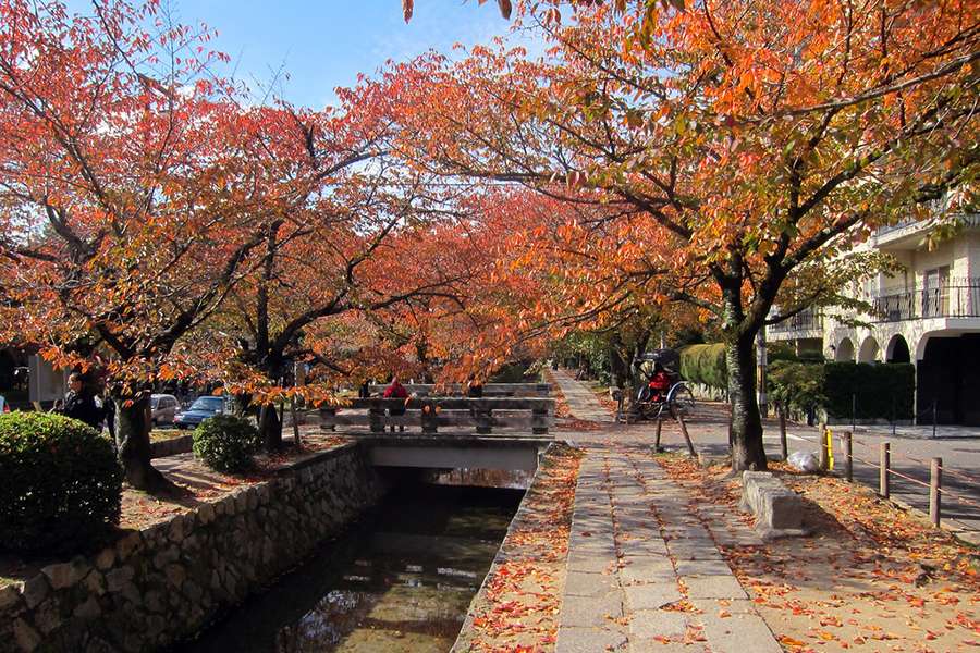 Con đường Tetsugaku no Michi mùa lá đỏ tại Sakyo Kyoto Nhật Bản