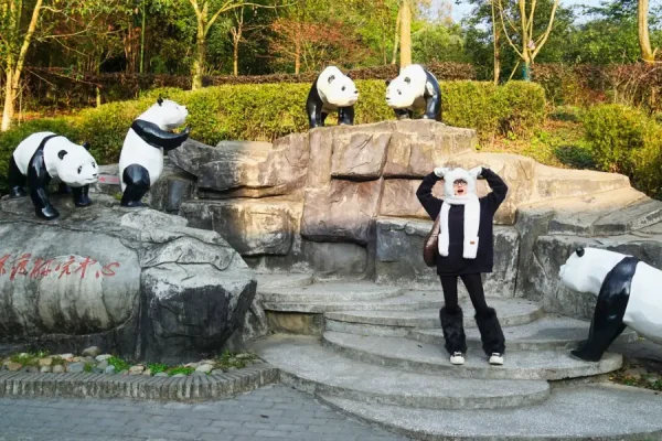 Công viên Gấu Trúc Đô Giang Yển - gặp gỡ quốc bảo của Trung Quốc