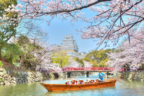 Cung đường mùa xuân Nhật Bản 2024 Ngắm hoa anh đào tại Osaka