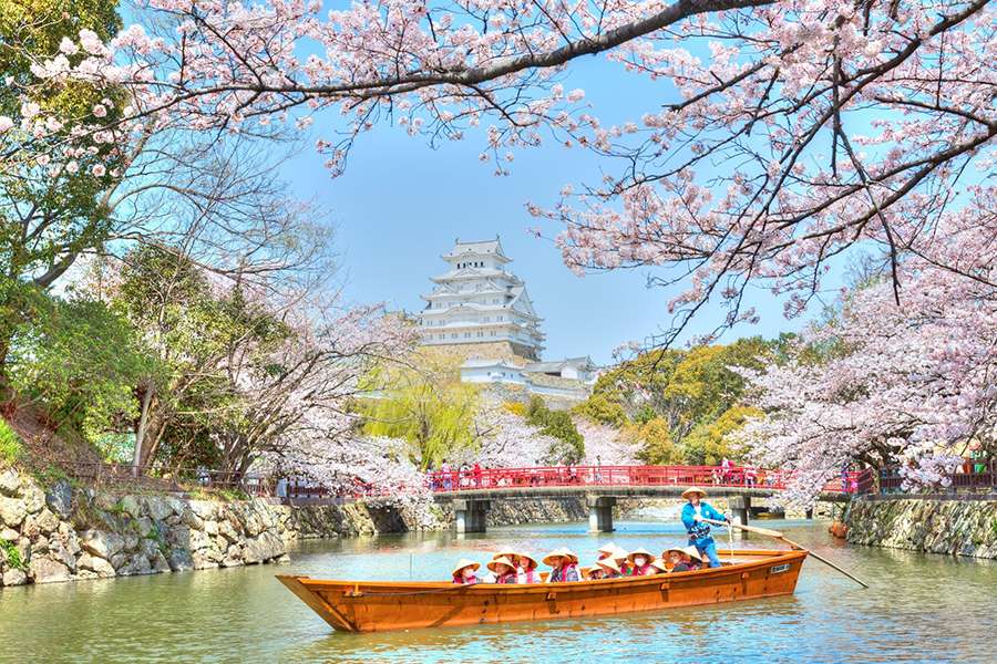 Cung đường mùa xuân Nhật Bản 2024 Ngắm hoa anh đào tại Osaka
