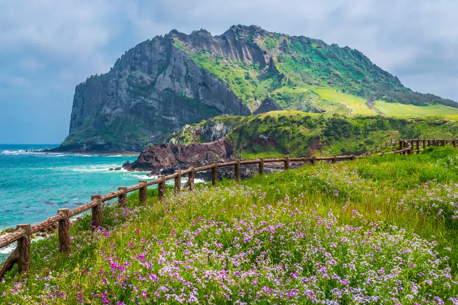 Đảo Jeju Hàn Quốc - Hòn Đảo Huyền Thoại Được UNESCO Vinh Danh