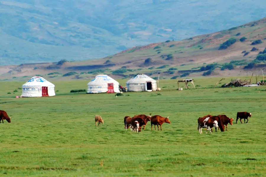 Di chuyển đến Mông Cổ Bay thẳng hay quá cảnh