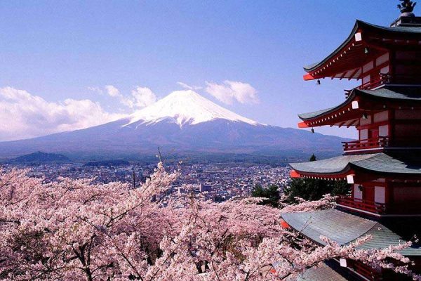Du Xuân Nhật Bản 2024 Ngắm Núi Phú Sĩ