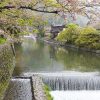 Du lịch Nhật Bản mùa hoa anh đào có những gì
