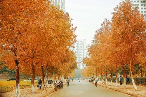 Du lịch mùa thu Hàn Quốc khởi hành Hà Nội