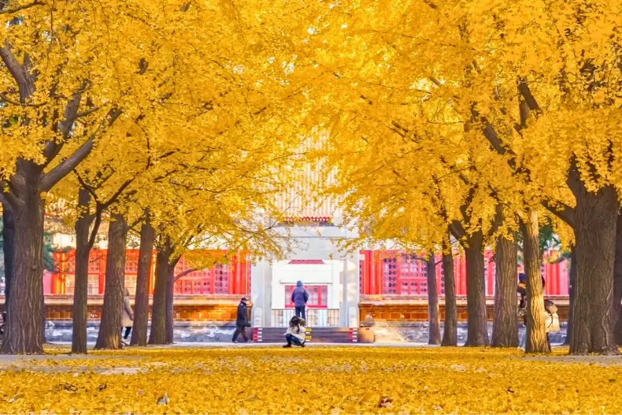 Du lịch mùa thu Trung Quốc