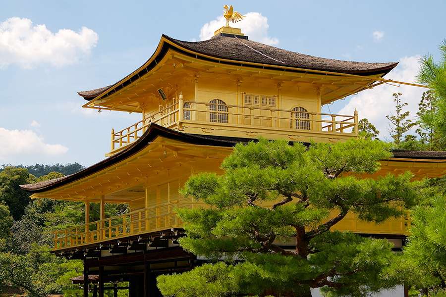 Ghé thăm chùa vàng Kinkakuji khi đi tour du lịch Nhật bản
