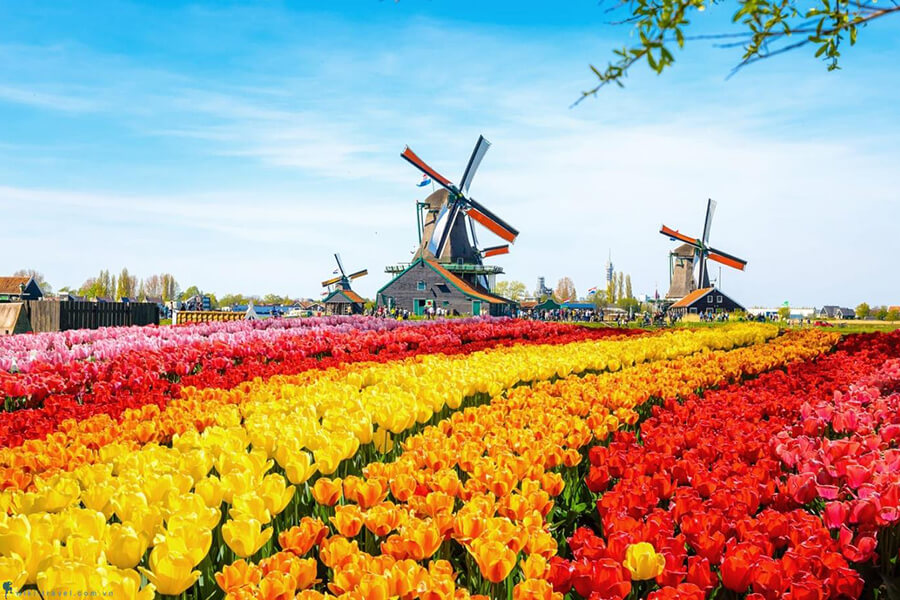 Hà Lan – quốc gia “đáng sống” nhất châu Âu