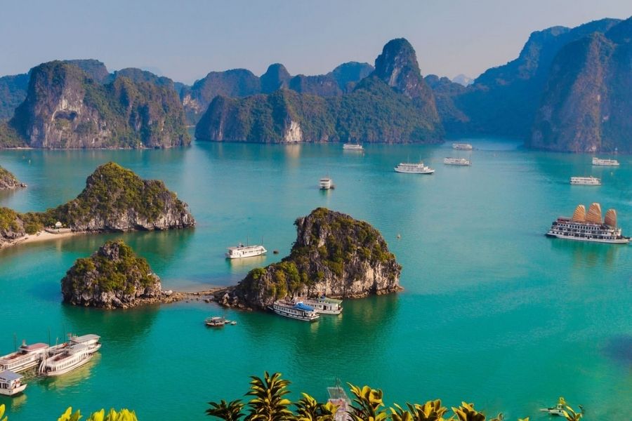 Kinh Nghiệm Tham Quan Hạ Long Trong Ngày Cho Khách Du Thuyền