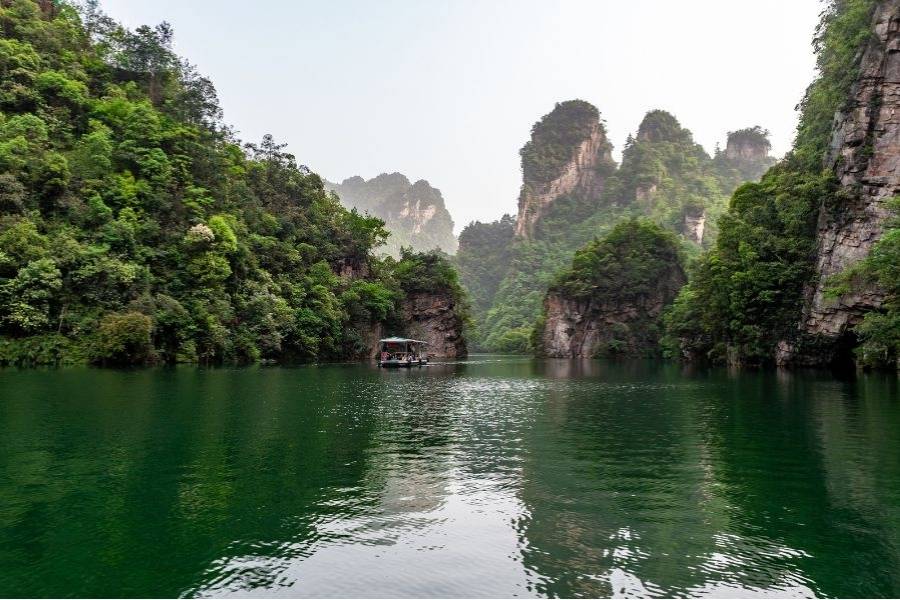 Hồ Bảo Phong