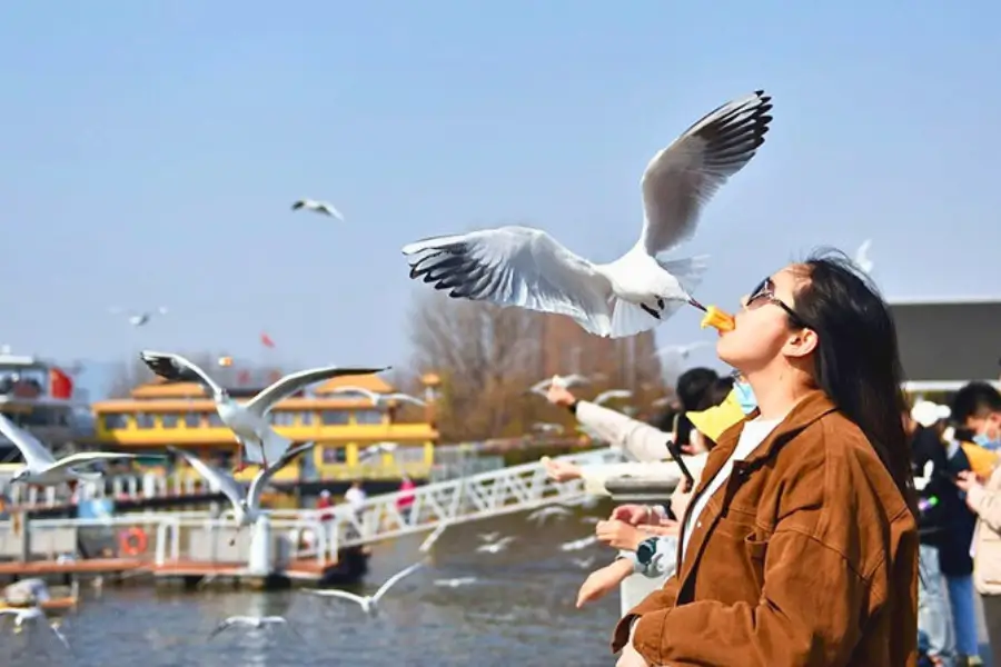 Hồ Điền Trì “Viên Minh Châu” cao nguyên Côn Minh Hồ Điền Trì “Viên Minh Châu” cao nguyên Côn Minh