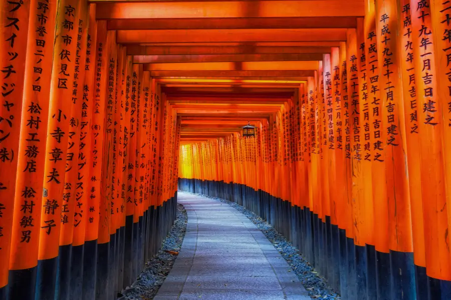 Kiến trúc đặc trưng và con đường ngàn cổng Torii