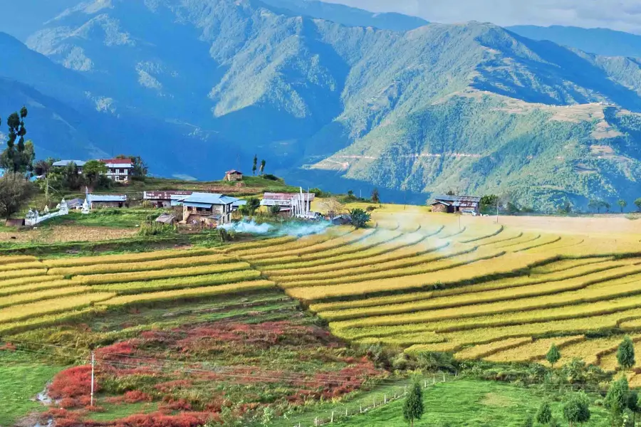 Làng Radhi Làng Radhi