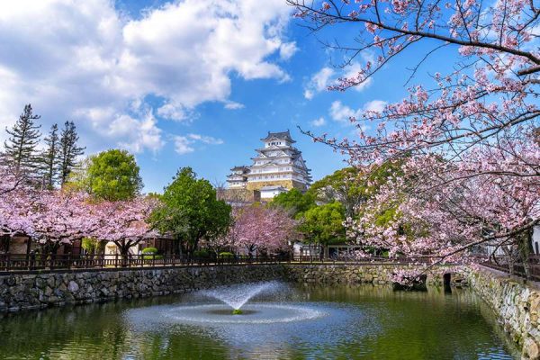 Lâu Đài Osaka mùa hoa anh đào Nhật Bản