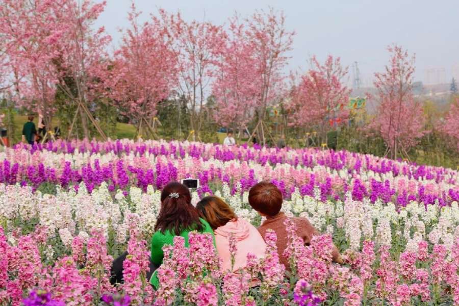 Mạn Hoa Trang Viên