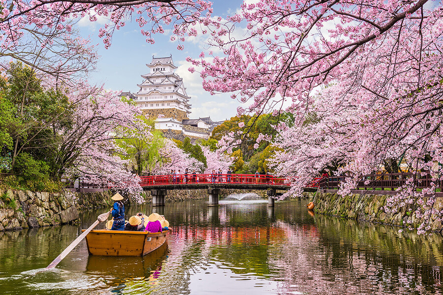 Mùa Xuân Thời Điểm Lý Tưởng Du Lịch Nhật Bản Chiêm Ngưỡng Sắc Hoa Anh Đào