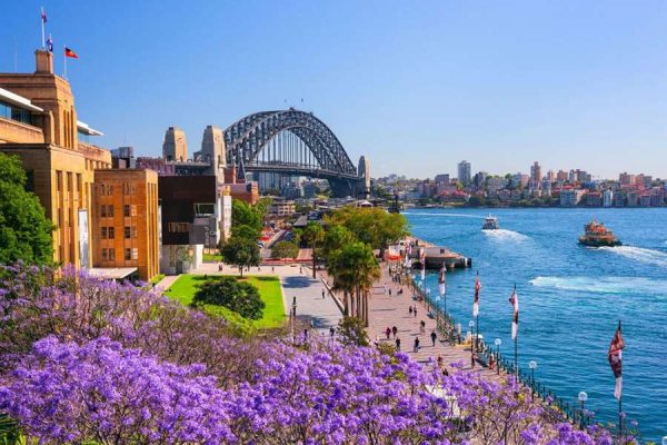 Mùa xuân nước Úc mùa phượng tím Sydney