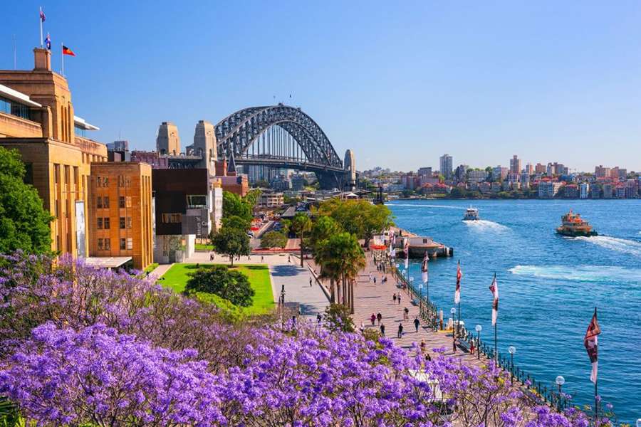 Mùa xuân nước Úc mùa phượng tím Sydney