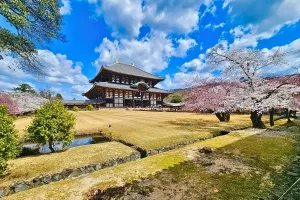 Nara – Vùng đất tâm linh yên bình