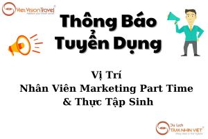 Nhân Viên Marketing Part Time-Thực Tập Sinh Ngành Du Lịch