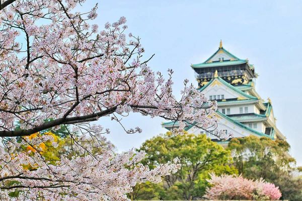 Osaka Nhật Bản mùa hoa anh đào
