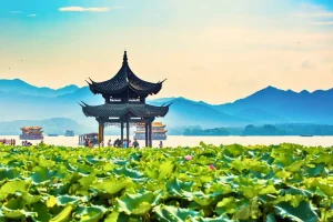 Quyên Phong Hòa - nổi tiếng là điểm đến ngắm hoa sen lừng danh tại Hàng Châu