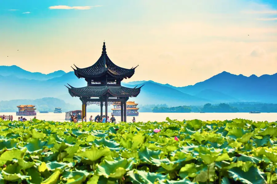 Quyên Phong Hòa - nổi tiếng là điểm đến ngắm hoa sen lừng danh tại Hàng Châu Quyên Phong Hòa - nổi tiếng là điểm đến ngắm hoa sen lừng danh tại Hàng Châu