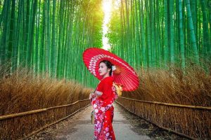 Tour du lịch Nhật Bản - Rừng trúc Arashiyama