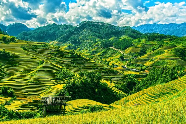 Ruộng bậc thang Tegalalang