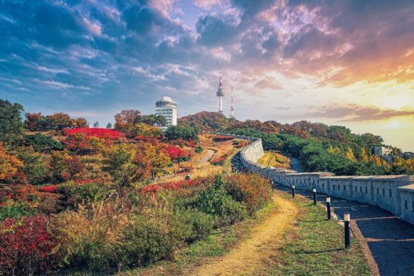 Seoul Forest
