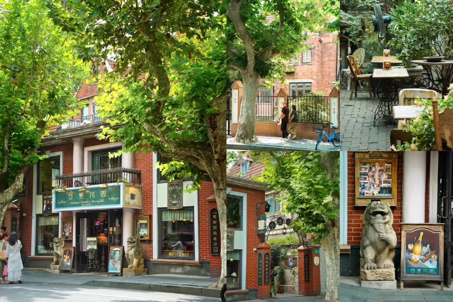 Sinan Road – Con phố yên bình giữa Thượng Hải