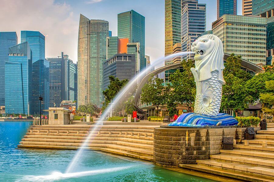 Sư tử biển - Biểu tượng của đất nước Singapore tour
