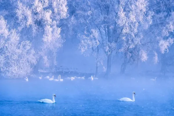 Suối Thiên Nga Tân Cương
