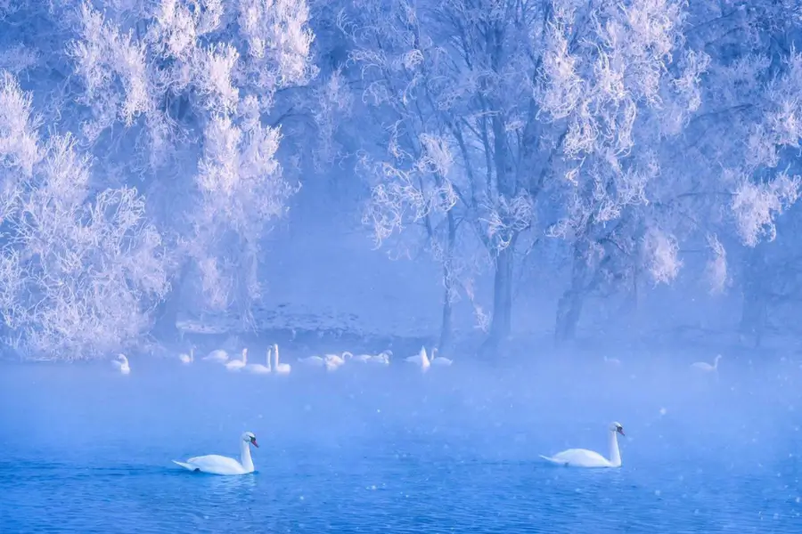 Suối Thiên Nga Tân Cương Suối Thiên Nga Tân Cương