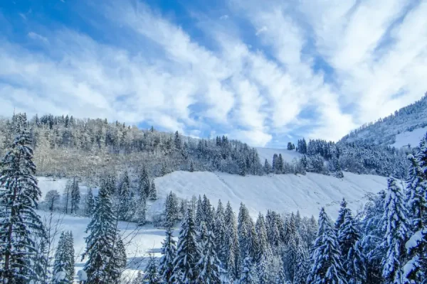 Thảo nguyên trên không Nalati Tân Cương