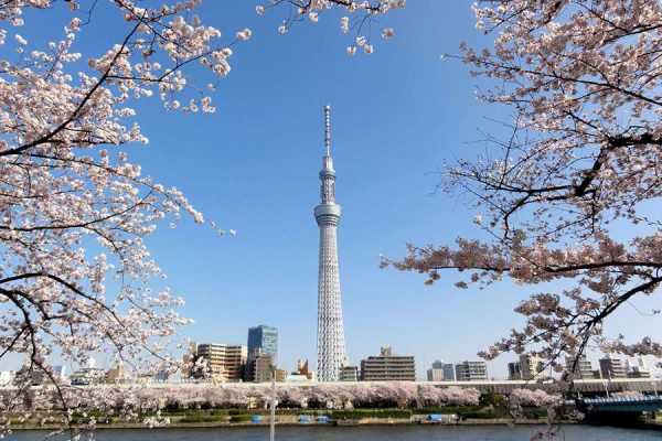 Tháp Tokyo điểm nổi bật trong tour đi Nhật Bản