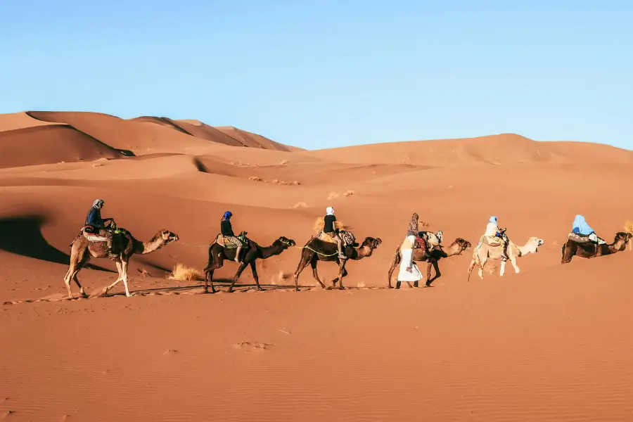 Thiên Nhiên Mông Cổ Sa mạc Gobi (The Gobi Desert)