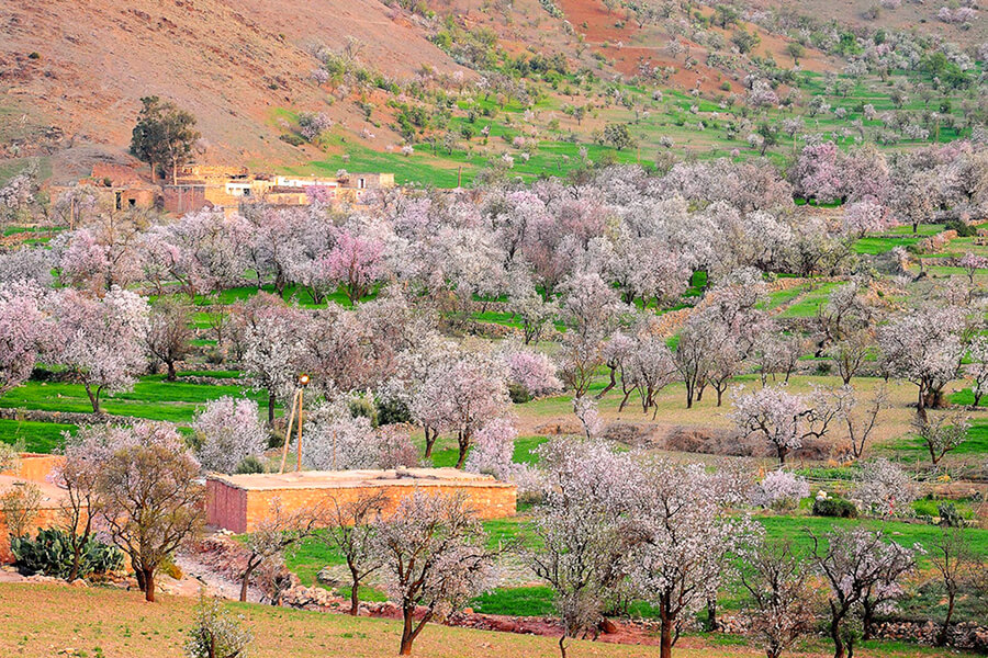 Thời Tiết Mùa Xuân Ở Maroc