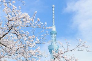 Tour du lịch Nhật Bản - Tokyo Skytree
