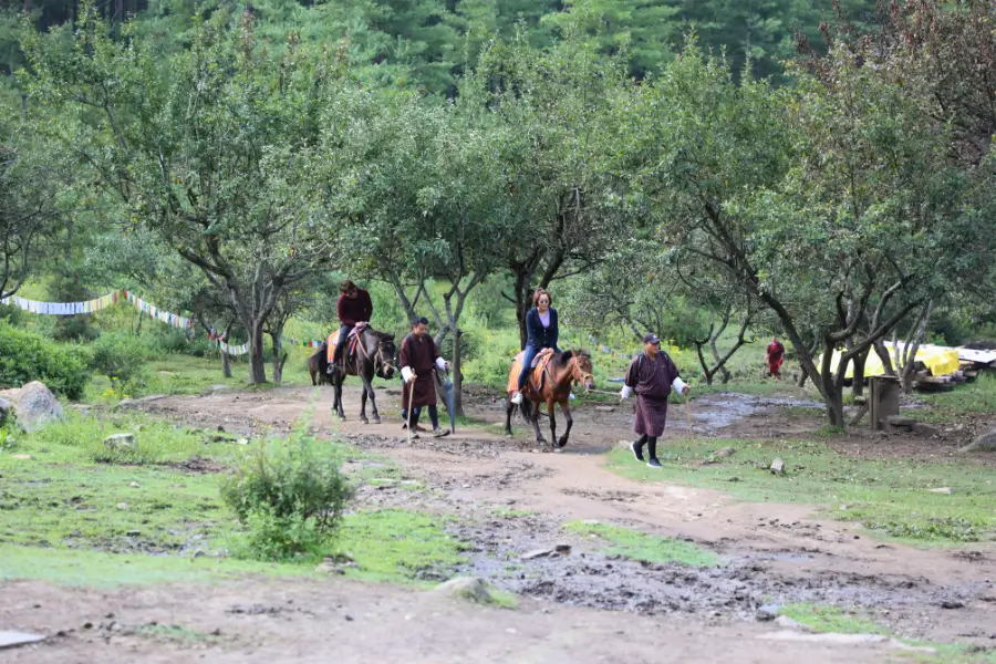 Tour Du Lịch Bhutan Trải nghiệm cưỡi ngựa tại Tiger’s Nest Tour Du Lịch Bhutan Trải nghiệm cưỡi ngựa tại Tiger’s Nest