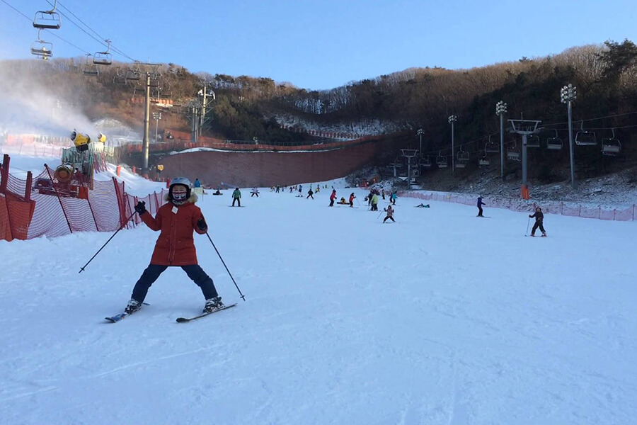 Tour Hàn Quốc - Khu trượt tuyết Yangji Pine
