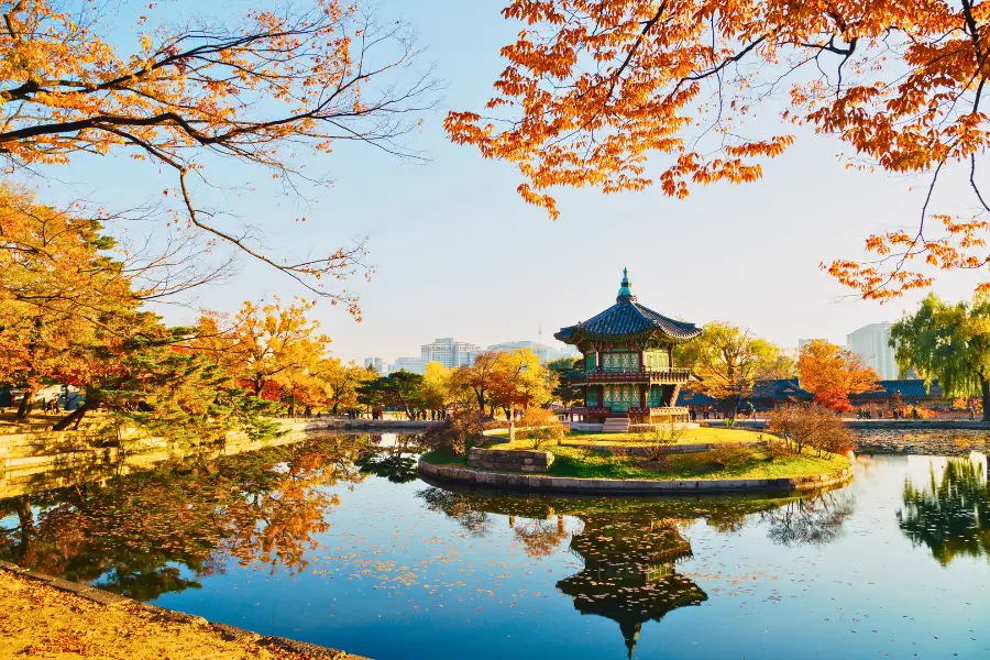 Tour Hàn Quốc Mùa Thu