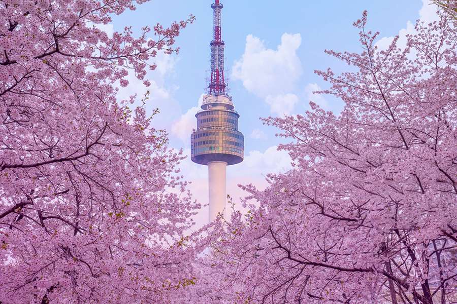 Tour Hàn Quốc Tết Nguyên Đán 2024 tháp Namsan Tower