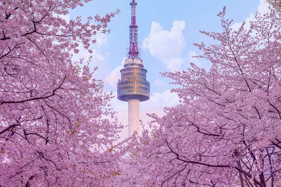 Tour Hàn Quốc Tết Nguyên Đán 2024 tháp Namsan Tower