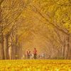 Tour Hàn Quốc ngắm nhìn mùa thu lá vàng khởi hành Hà Nội