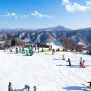 Tour Hàn Quốc trượt tuyết Tết 2024